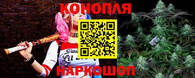 мяу мяу мука Дубна
