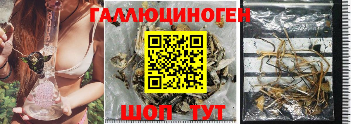 Галлюциногенные грибы мухоморы  Вход с VPN  Галлюциногенные грибы Magic Shrooms  Краснознаменск 